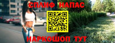 соль ск Новокубанск