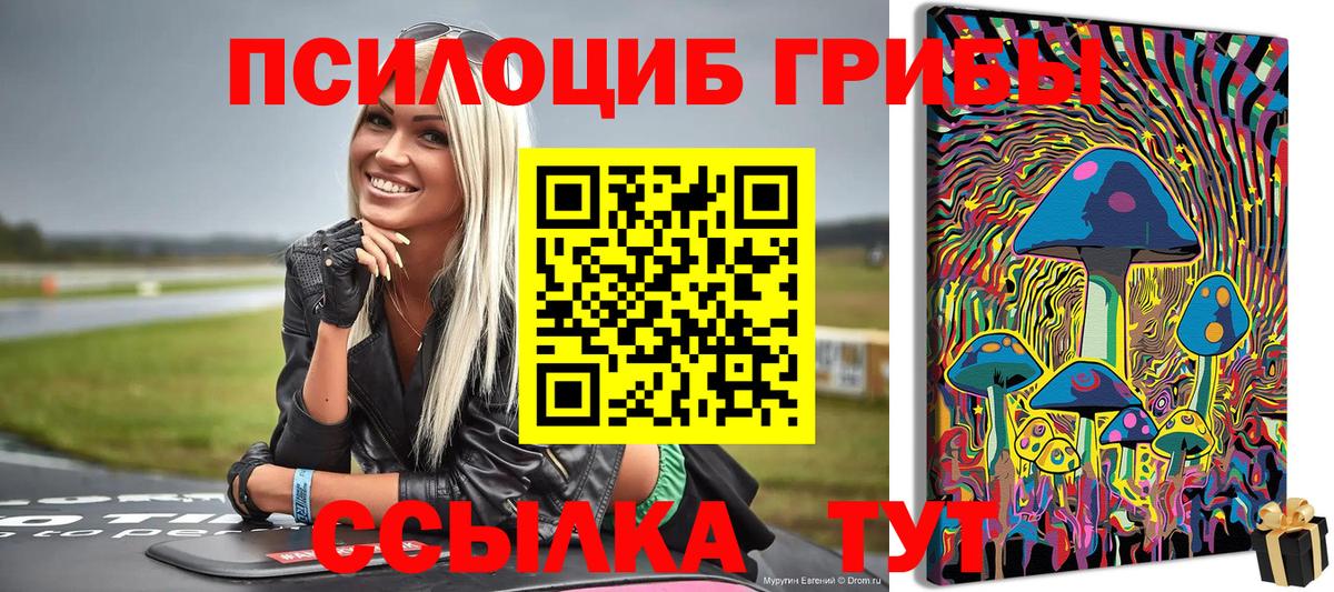 Псилоцибиновые грибы Cubensis  Вход с VPN  Тайшет  Галлюциногенные грибы мицелий 